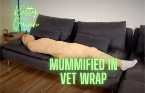 www.nyxonsbondagefiles.com - Kitty Quinn... Mummified In Vet Wrap thumbnail